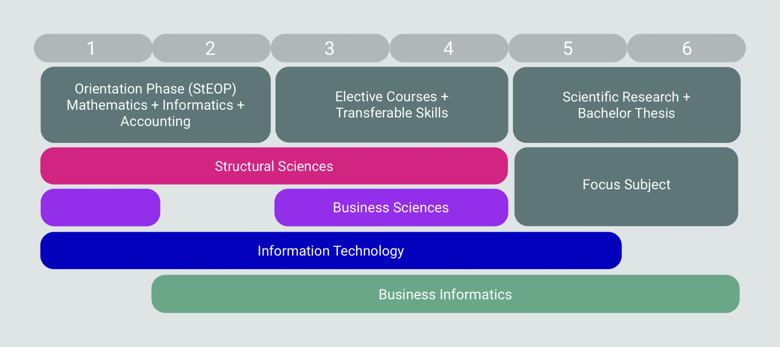  Curriculum Overview. Full details about structure and content of the program are available in the [curriculum](/bachelor/curriculum-ue033526.pdf) (PDF) and in the list of [courses](https://tiss.tuwien.ac.at/curriculum/public/curriculum.xhtml?key=45300&locale=de) in TISS. 