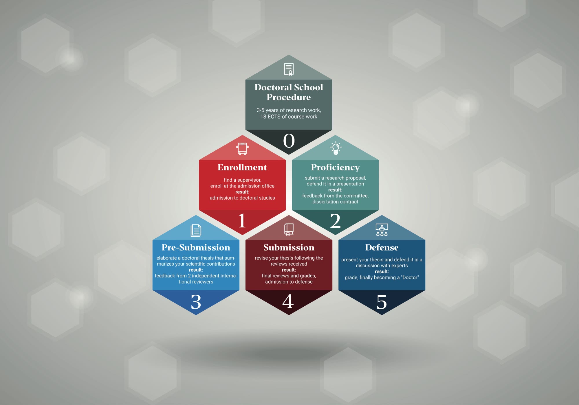 Diagram: Doctoral School Procedure