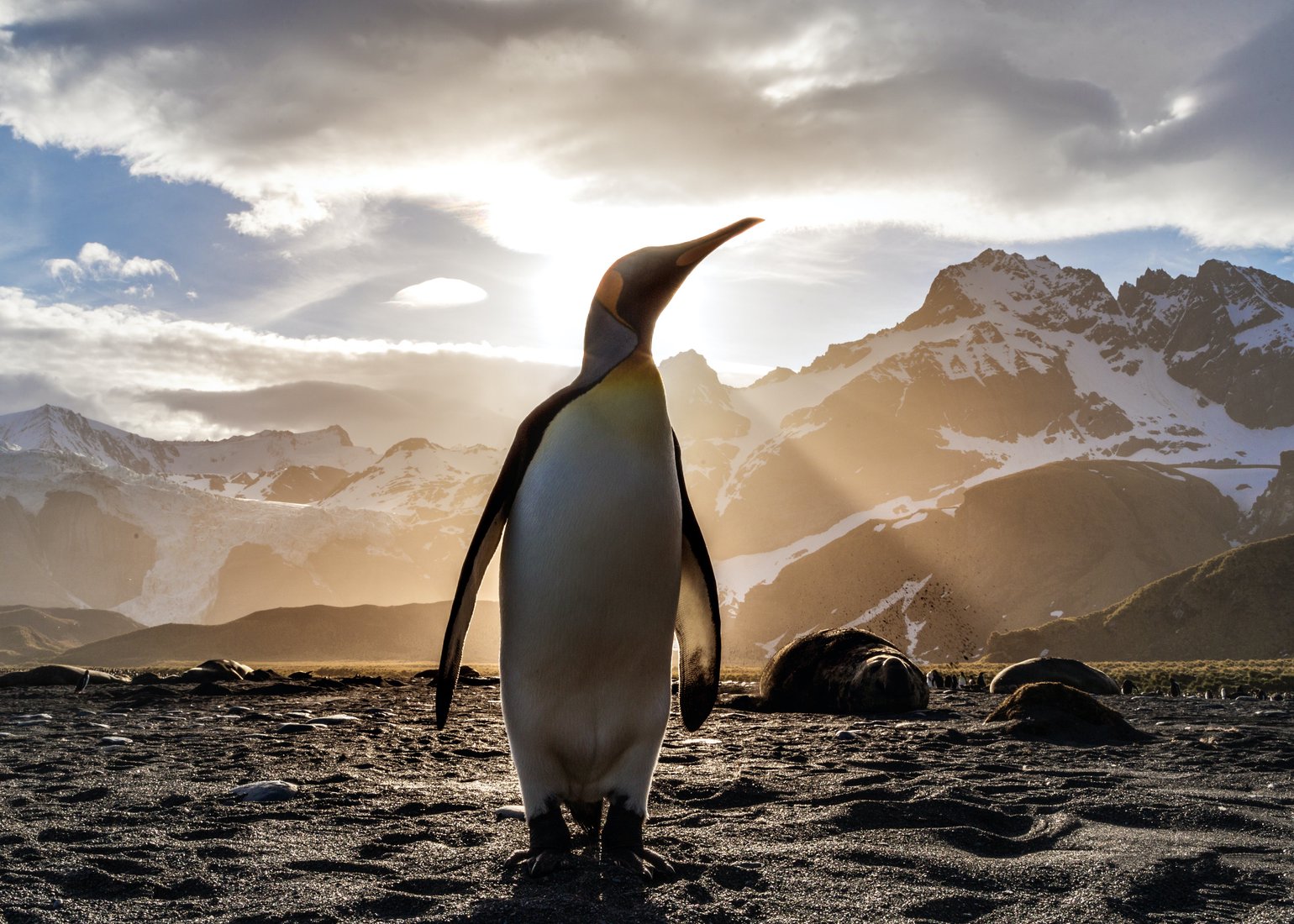 Ian Parker, Unsplash