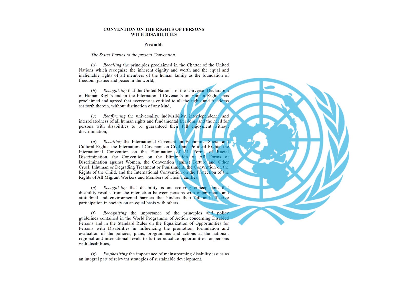  United Nations Convention on the Rights of Persons with Disabilities. 