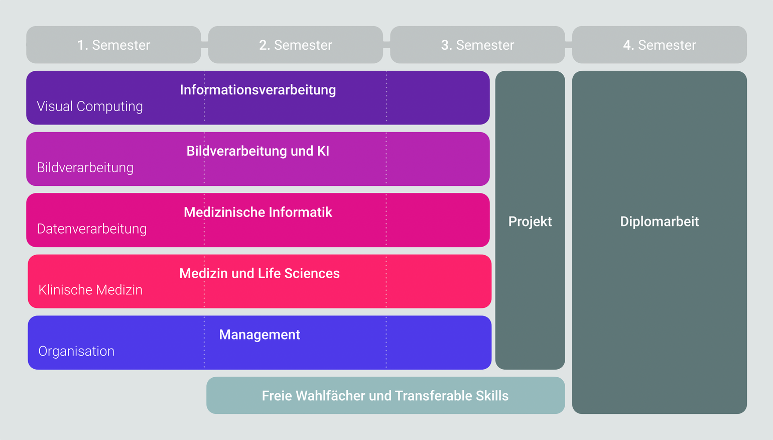  Überblick Studienplan. Alle Detailinformationen zum Aufbau und Inhalt des Studiums finden Sie im [Studienplan](/master/curriculum-ue066936.pdf) (PDF) bzw. in der Liste der [Lehrveranstaltungen](https://tiss.tuwien.ac.at/curriculum/public/curriculum.xhtml?key=56089&locale=de) in TISS.