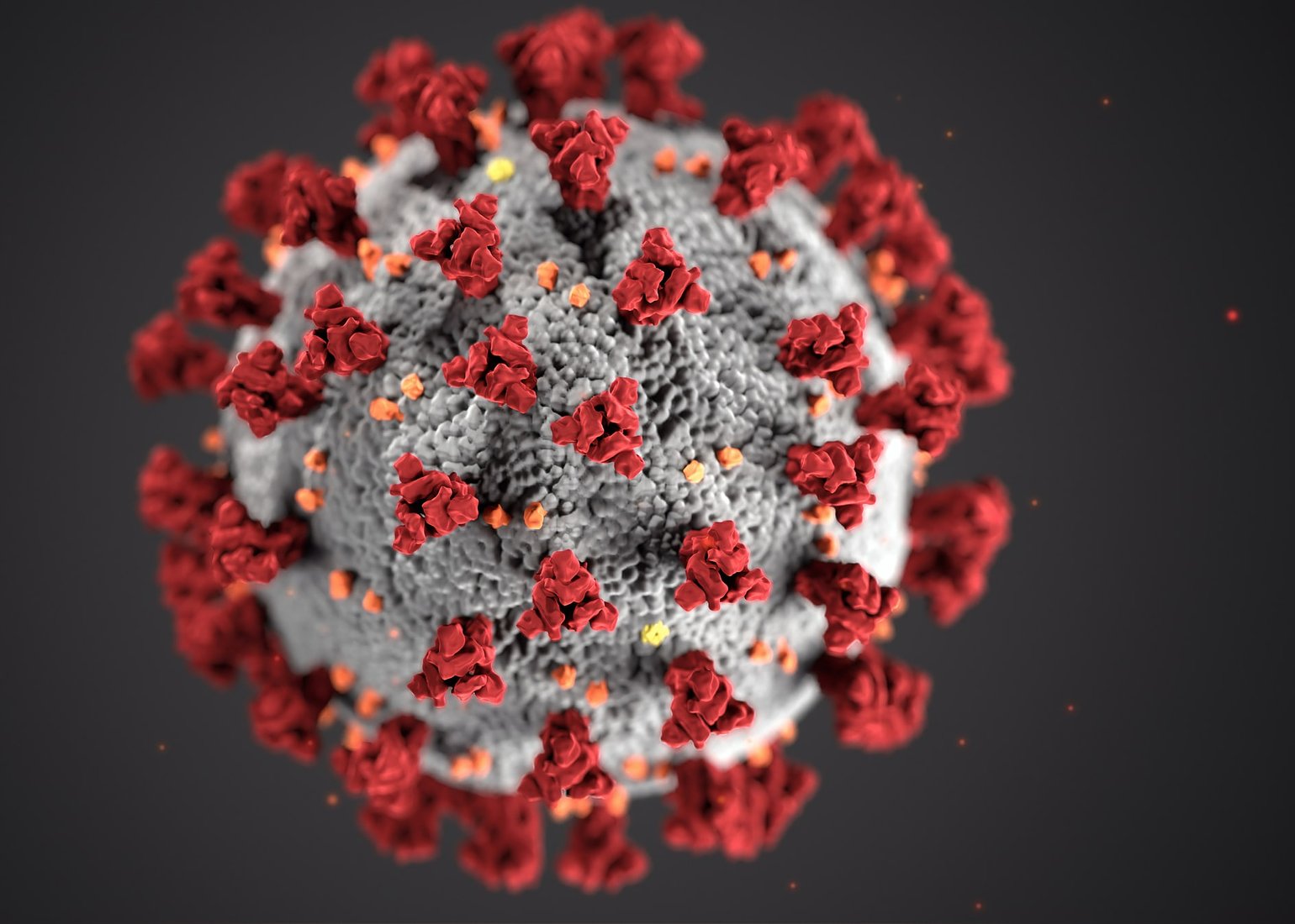 Coronavirus: Measures We Take