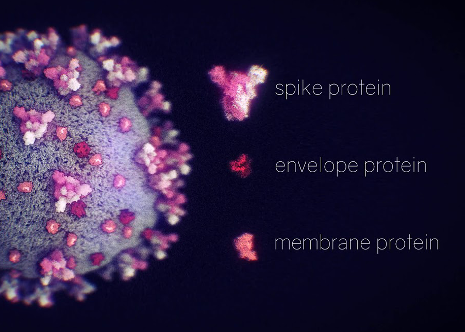 nanographics made a real-time rendered, procedural model of the novel coronavirus SARS-CoV-2.