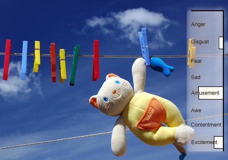 Automatically classifying images according to emotions – examples by Jana Machajdik from her master's thesis. — Picture: Jana Machajdik