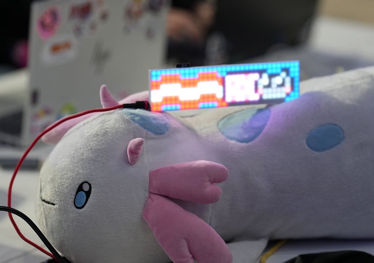 ...the axolotl plushie supporting Team Austria — Picture: Arno Felfer