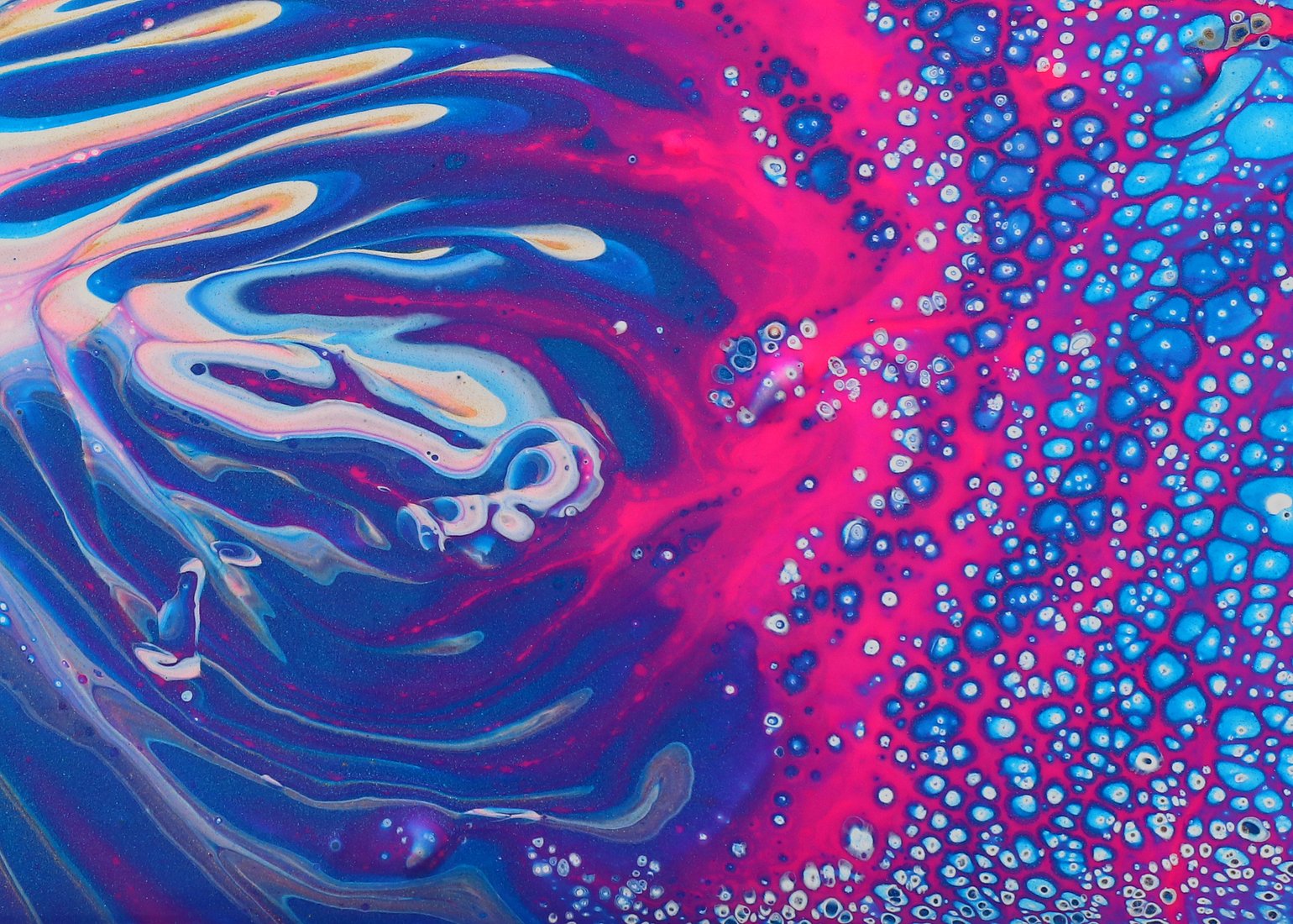 “Computational Sustainability”: Launch of new Doctoral College