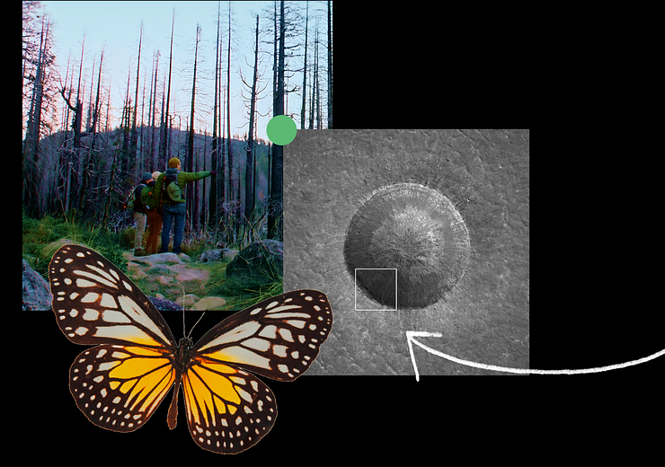 Google PhD Fellowship 2026