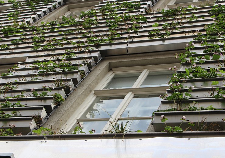 The new, green facade