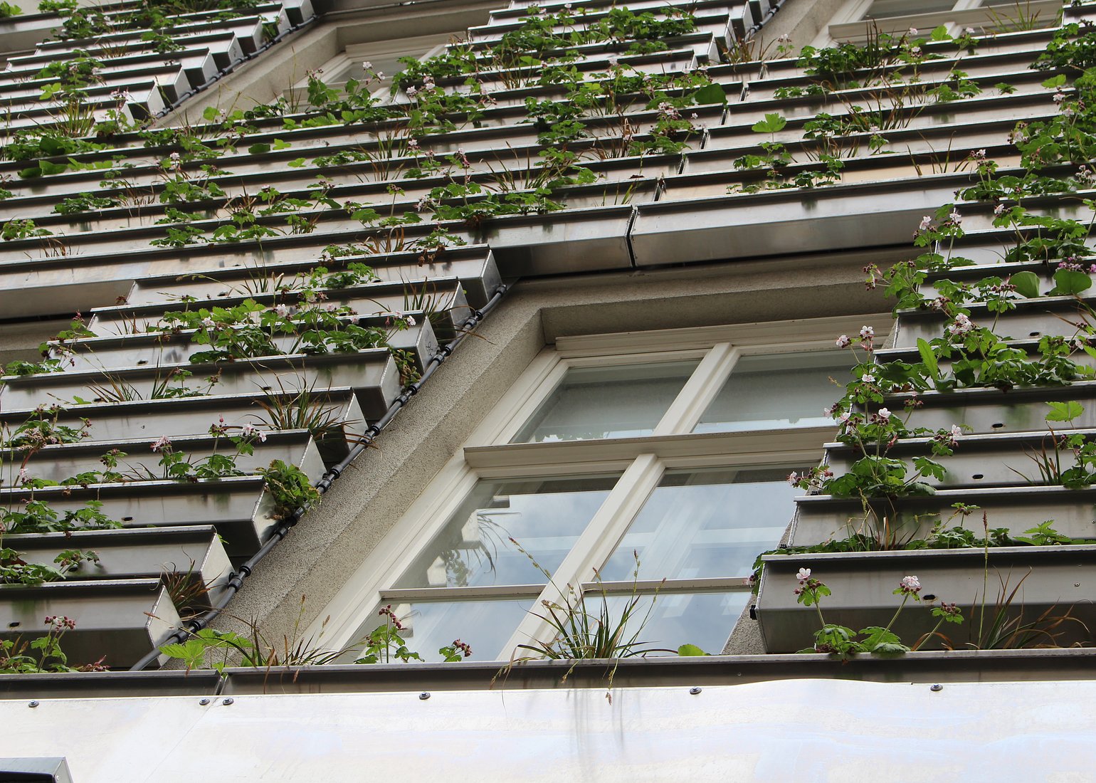 The new, green facade