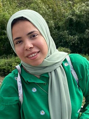 Alaa Mohamed Elebshihy